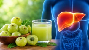 How amla reduces fatty liver